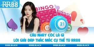 Cầu Nhảy Cóc Là Gì | Lời Giải Đáp Thắc Mắc Cụ Thể Từ RR88