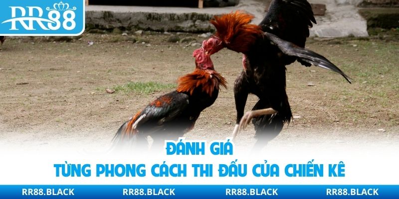 Đánh giá từng phong cách thi đấu của chiến kê