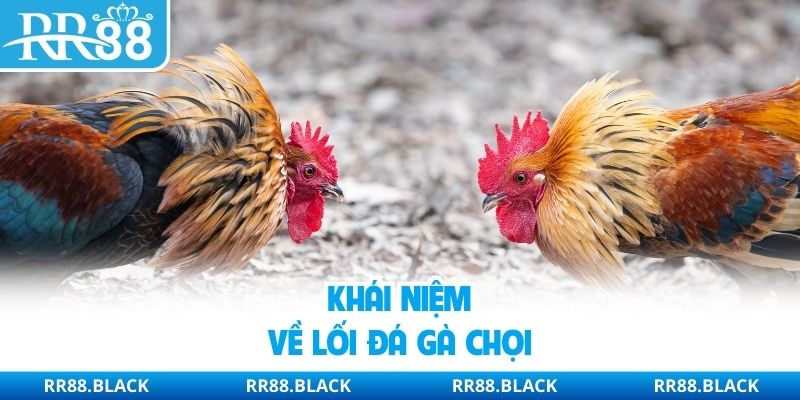 Khái niệm về lối đá gà chọi