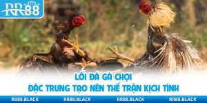 Lối Đá Gà Chọi Đặc Trưng Tạo Nên Thế Trận Kịch Tính
