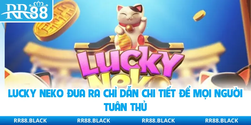Lucky Neko đưa ra chỉ dẫn chi tiết để mọi người tuân thủ