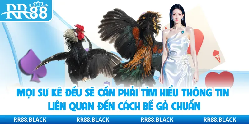 Mọi sư kê đều sẽ cần phải tìm hiểu thông tin liên quan đến cách bế gà chuẩn